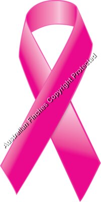 Pink Ribbon
