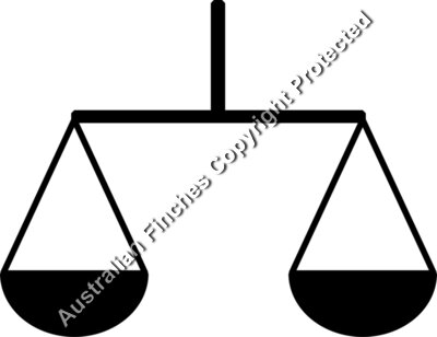 Scales Justice