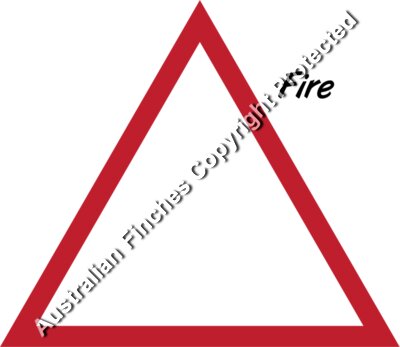 Fire Symbol