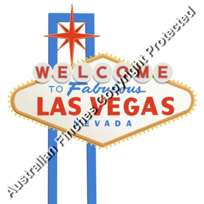 Welcome to Las Vegas 