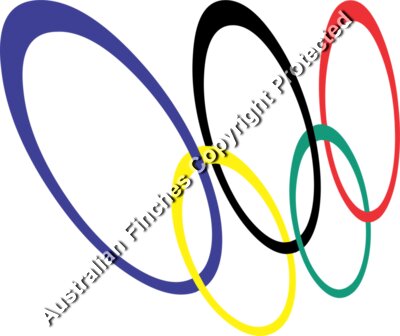 Olympic Rings