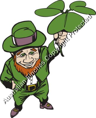 Leprechaun 4 Leaf Clover