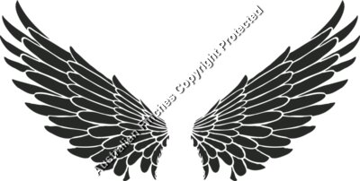 Wings