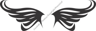 Wings2