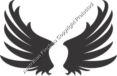 Wings 3