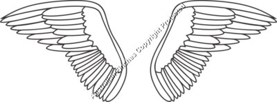 Wings 6