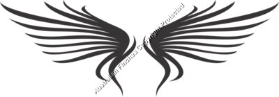 Wings 8
