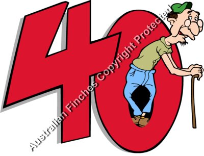 40th Birthday Man