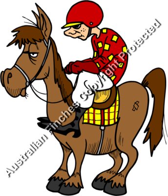 Jockey