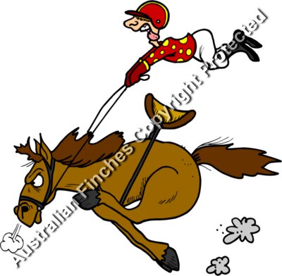 Jockey 2
