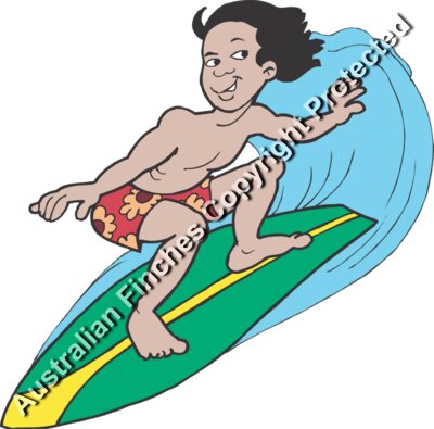 Hawaiian Surfer