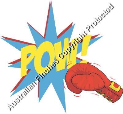 Pow