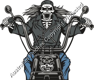 Skeleton Motorbike