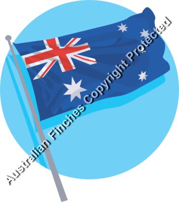 Australian Flag Flying