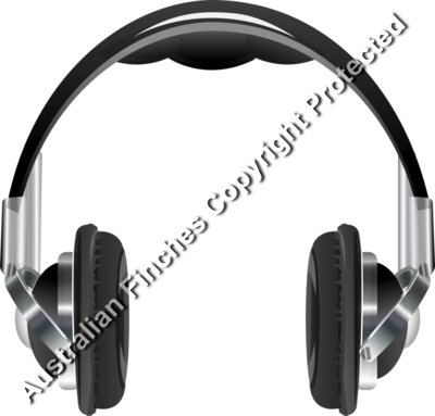 Headphones