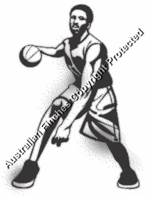 Basketball (white tee only)