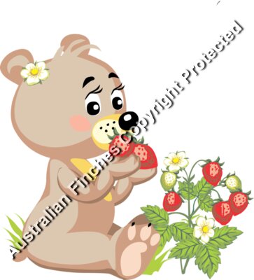 Bear Strawberries