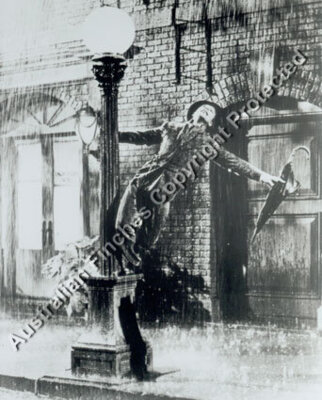 Singing in the rain
