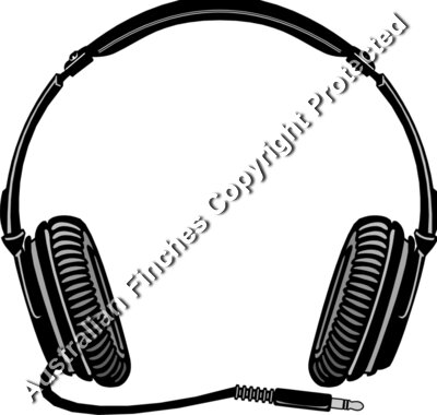 Headphones 
