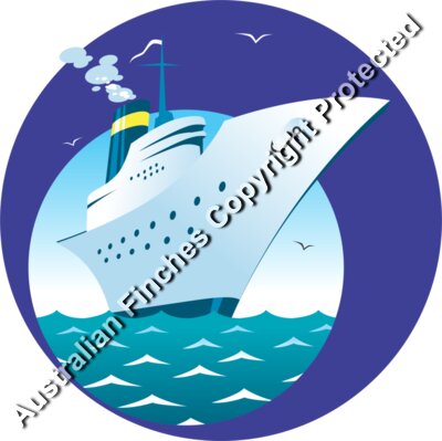 Cruise Ship 2