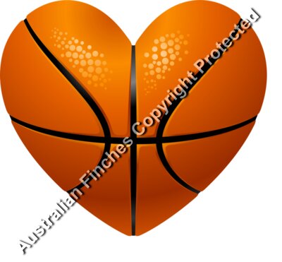 Basketball Heart